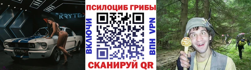 купить наркоту  Багратионовск  Псилоцибиновые грибы Magic Shrooms 