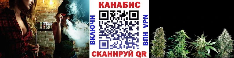 как найти наркотики  Багратионовск  Бошки марихуана OG Kush 